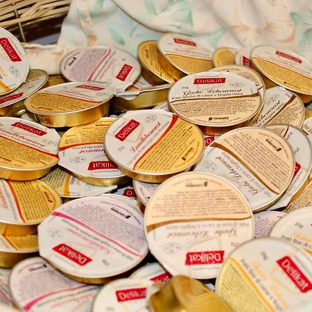 克里斯蒂娜酒店 酒店 格拉多