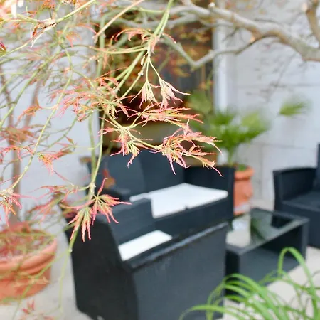 克里斯蒂娜酒店 格拉多